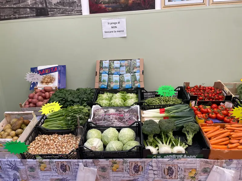 Verdure fresche di Orto in Piazza: insalate, spinaci, sedano, cavoli, finocchi, broccoli e carote