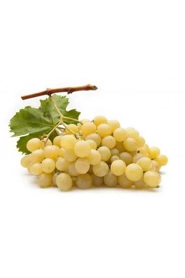 Uva bianca