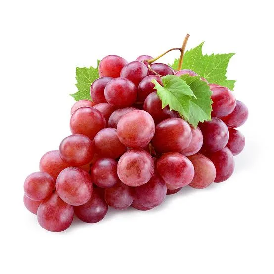 Uva rossa